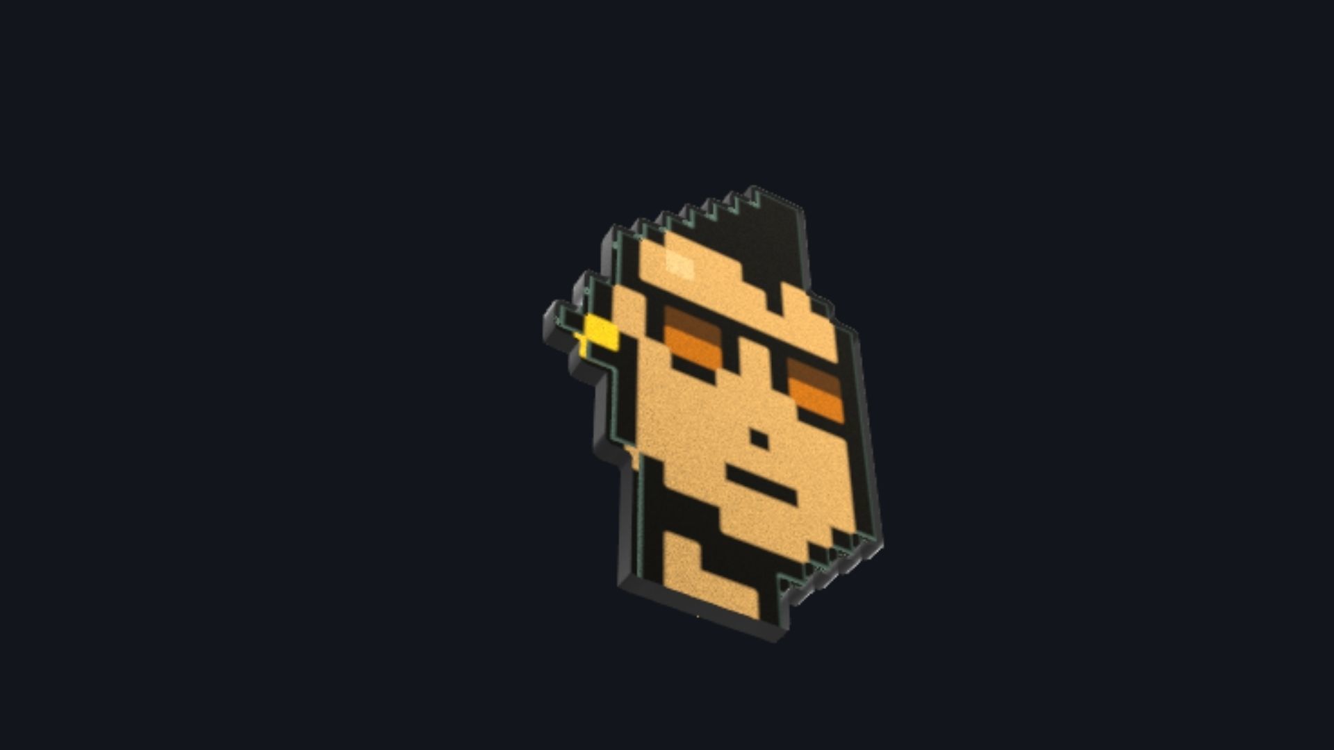 Cryptopunk Crypto Bitcoin Coin NFT 0460 3D model_2