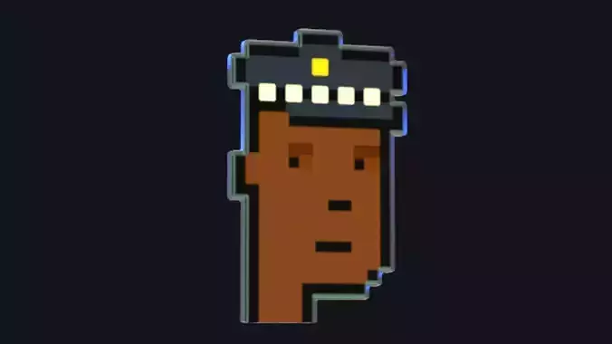 Cryptopunk Crypto Bitcoin Coin NFT 0459