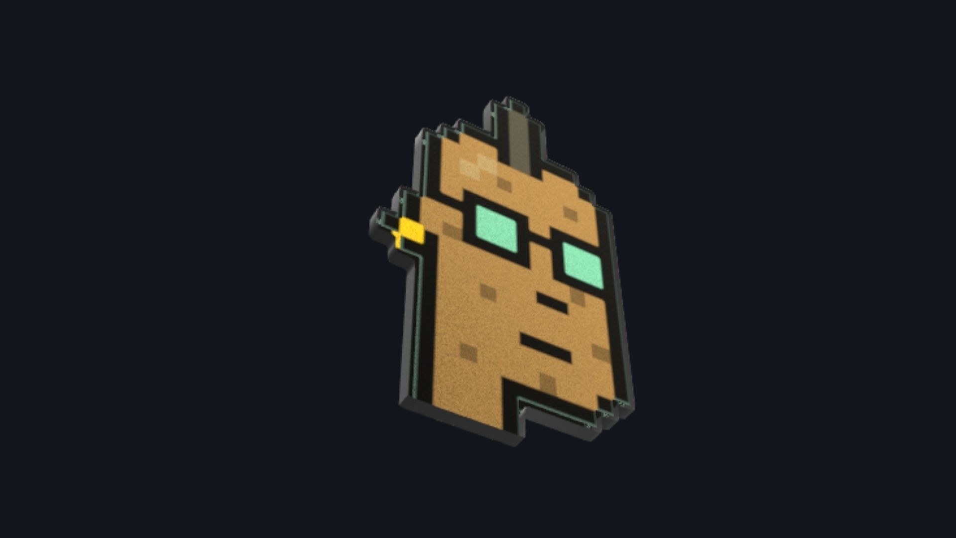 Cryptopunk Crypto Bitcoin Coin NFT 0456 3D model_2