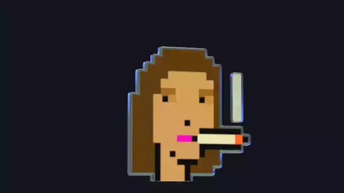 Cryptopunk Crypto Bitcoin Coin NFT 0449