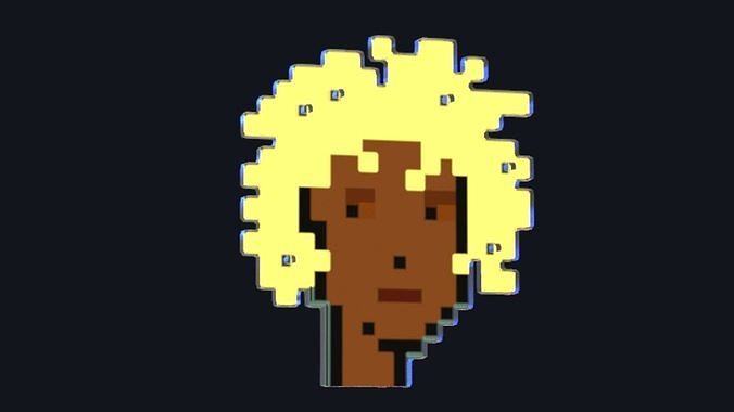 Cryptopunks Crypto Bitcoin Coin NFT 0443 3D model