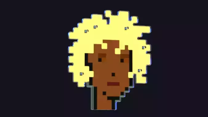 Cryptopunks Crypto Bitcoin Coin NFT 0443