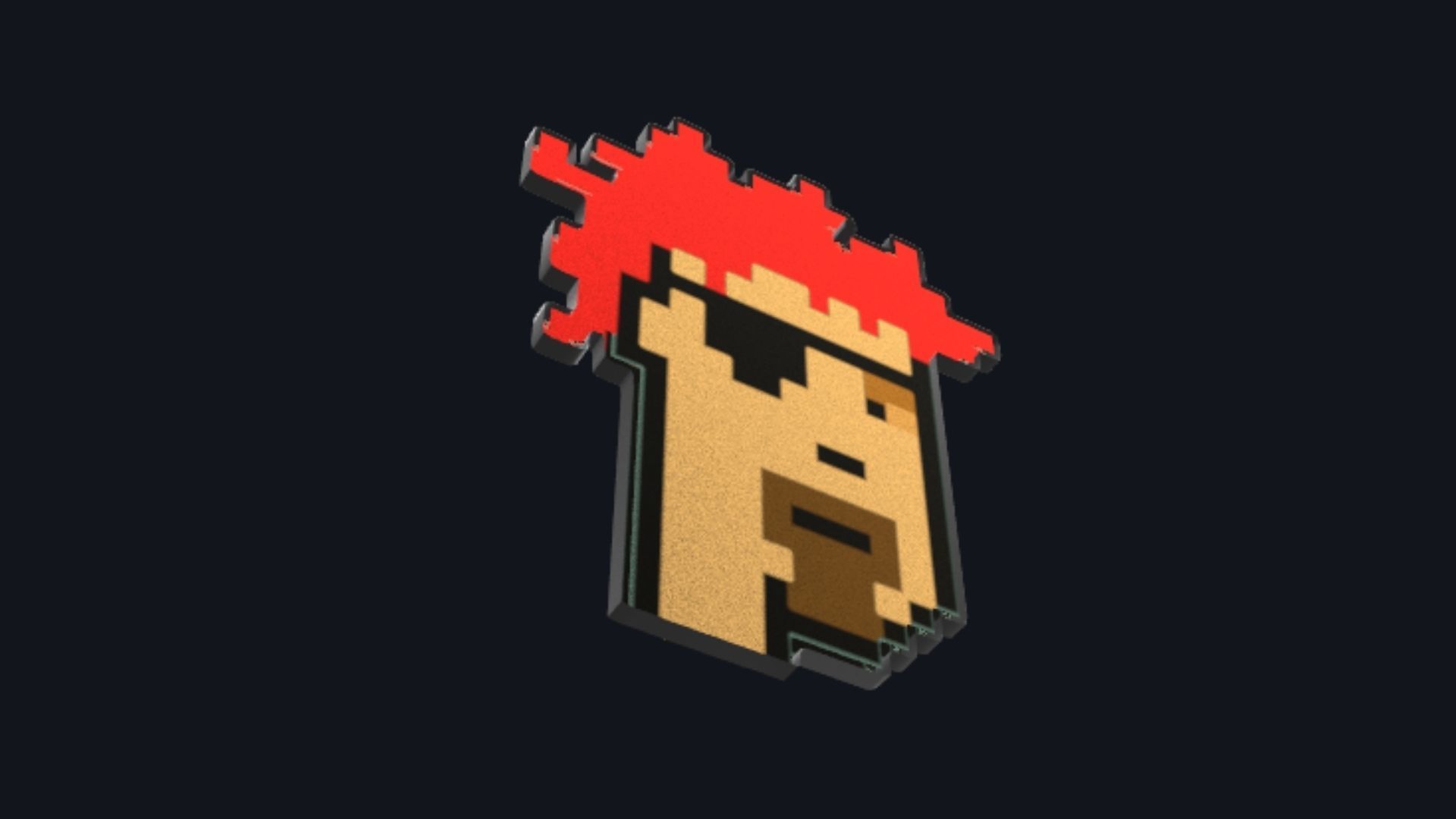 Cryptopunks Crypto Bitcoin Coin NFT 0437 3D model_2