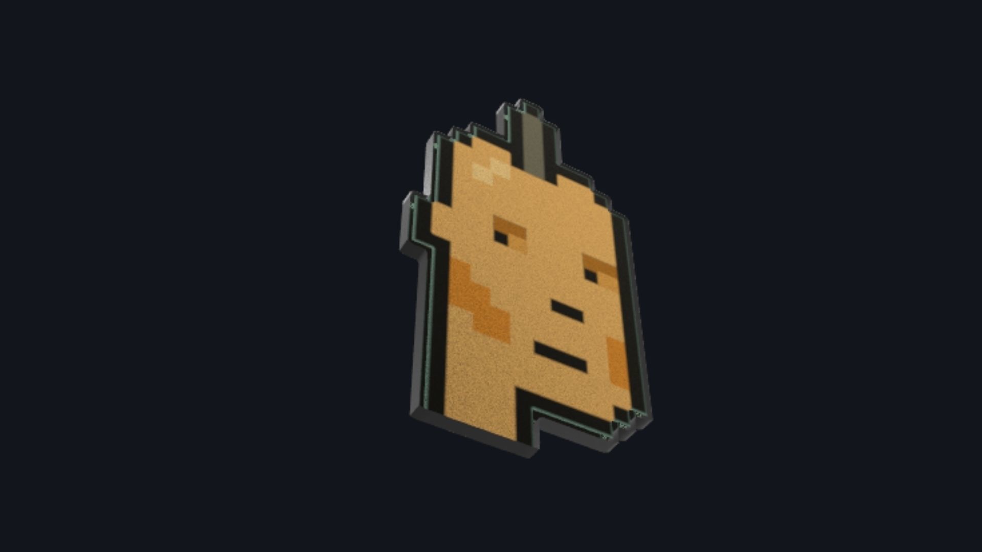 Cryptopunks Crypto Bitcoin Coin NFT 0435 3D model_2