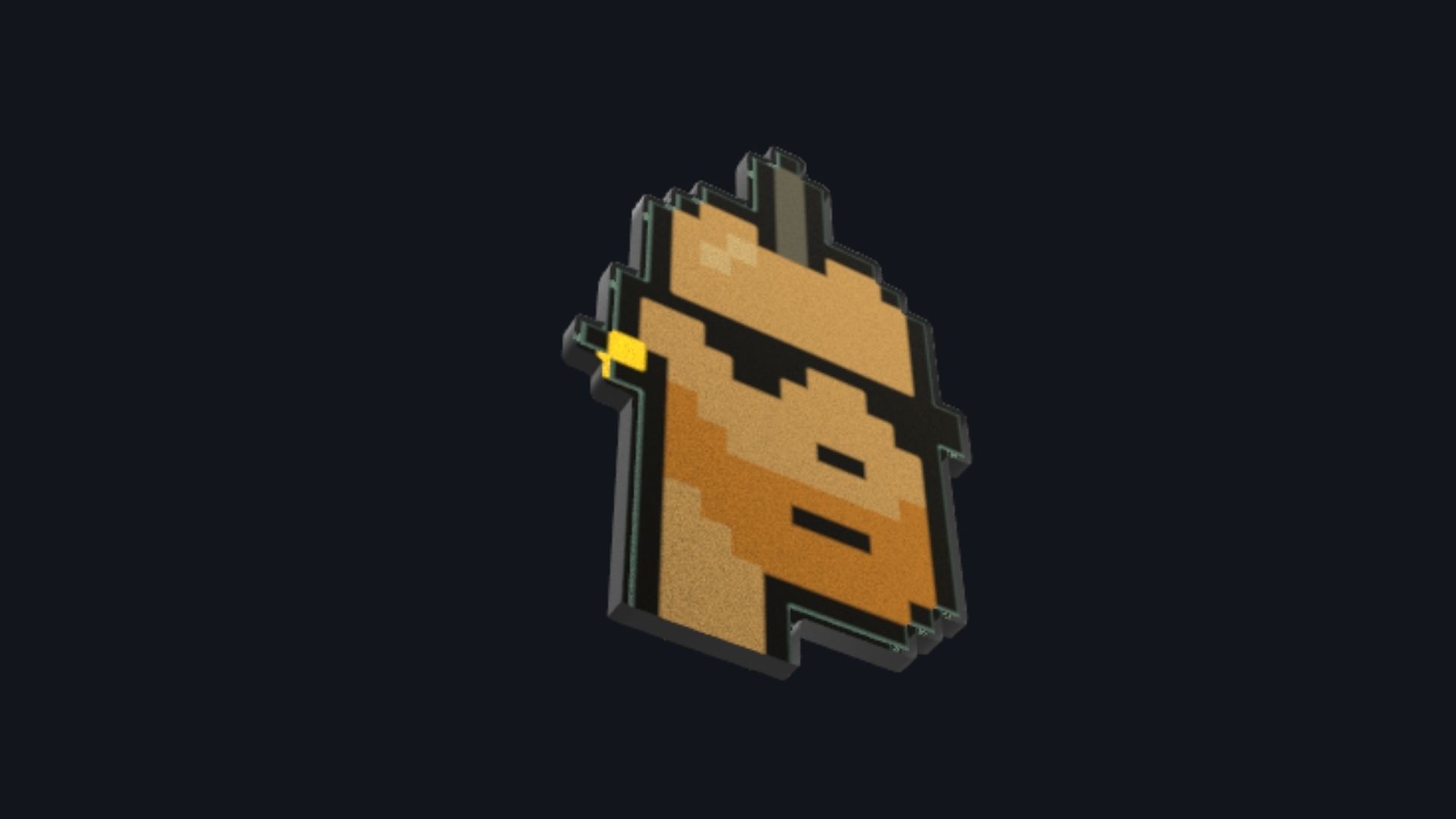 Cryptopunk Crypto Bitcoin Coin NFT 0433 3D model_2