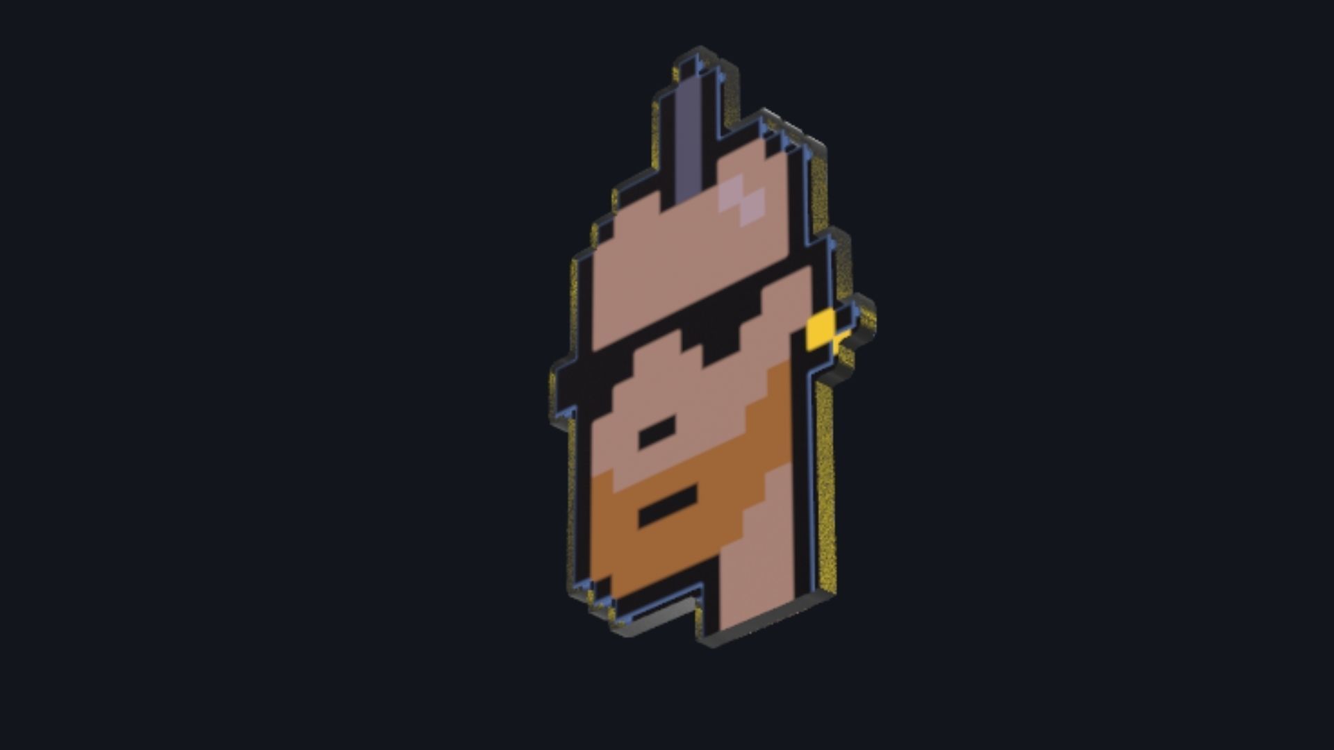 Cryptopunk Crypto Bitcoin Coin NFT 0433 3D model_5