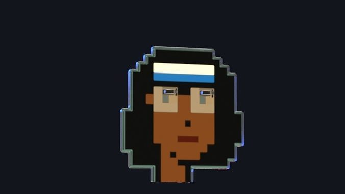 Cryptopunks Crypto Bitcoin Coin NFT 0431 3D model