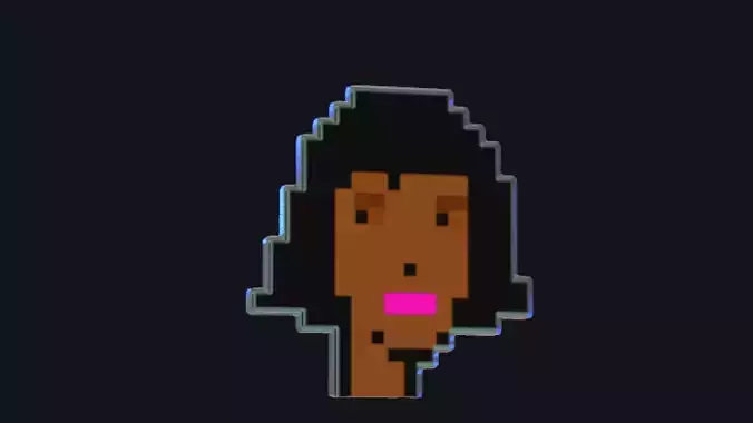 Cryptopunks Crypto Bitcoin Coin NFT 0430