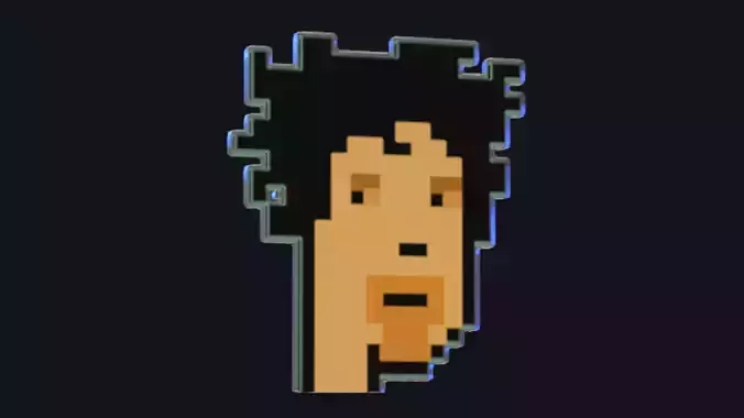 Cryptopunk Crypto Bitcoin Coin NFT 0421