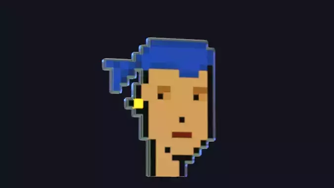 Cryptopunk Crypto Bitcoin Coin NFT 0419