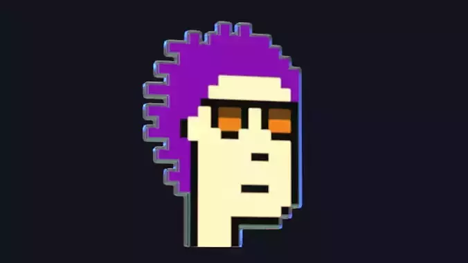 Cryptopunks Crypto Bitcoin Coin NFT 0412