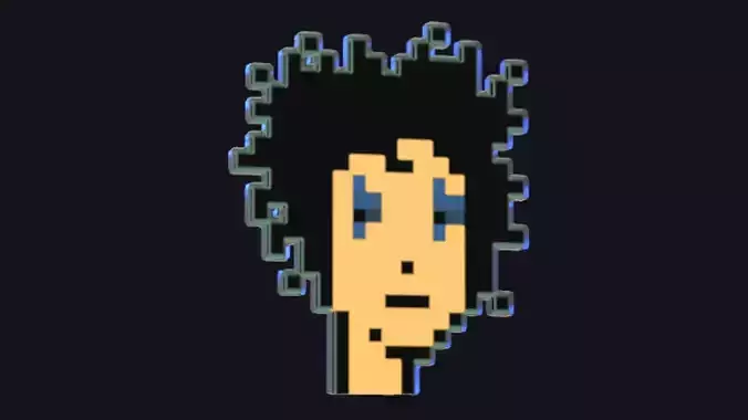 Cryptopunk Crypto Bitcoin Coin NFT 0411