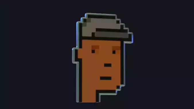 Cryptopunks Crypto Bitcoin Coin NFT 0408