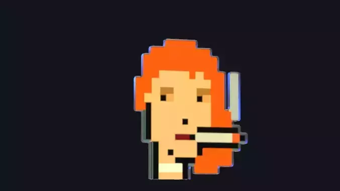 Cryptopunk Crypto Bitcoin Coin NFT 0404