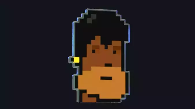 Cryptopunk Crypto Bitcoin Coin NFT 0401