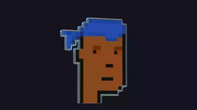 Cryptopunk Crypto Bitcoin Coin NFT 0398