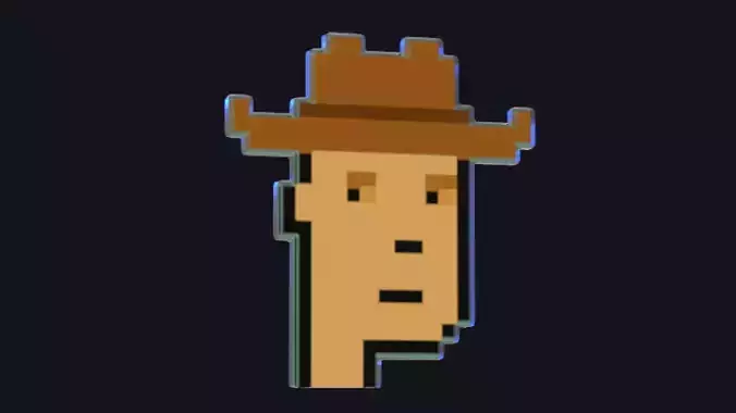 Cryptopunk Crypto Bitcoin Coin NFT 0397