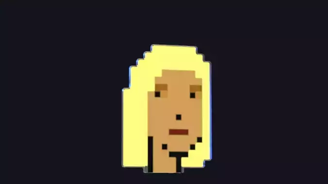 Cryptopunk Crypto Bitcoin Coin NFT 0396