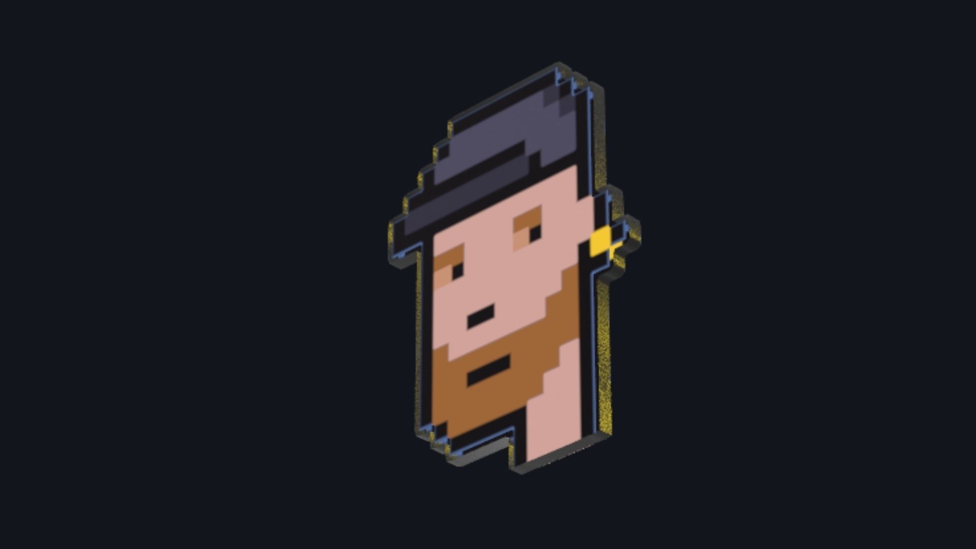 Cryptopunk Crypto Bitcoin Coin NFT 0395 3D model_5