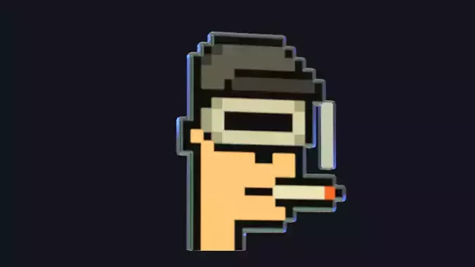 Cryptopunk Crypto Bitcoin Coin NFT 0393