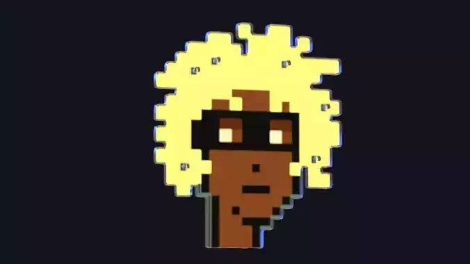 Cryptopunk Crypto Bitcoin Coin NFT 0391