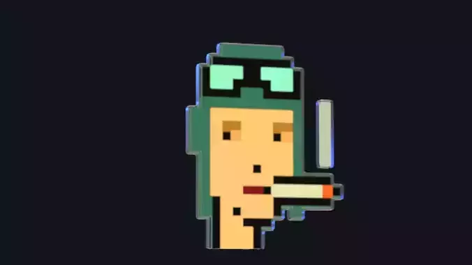 Cryptopunk Crypto Bitcoin Coin NFT 0382