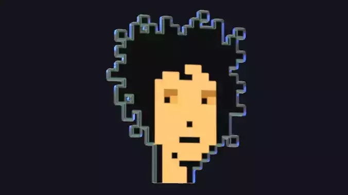 Cryptopunk Crypto Bitcoin Coin NFT 0380