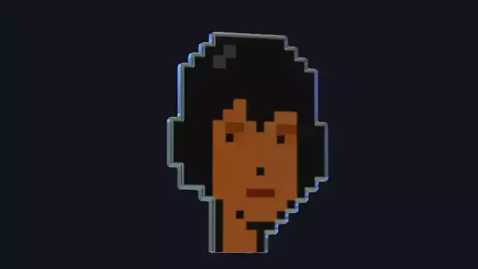 Cryptopunk Crypto Bitcoin Coin NFT 0378