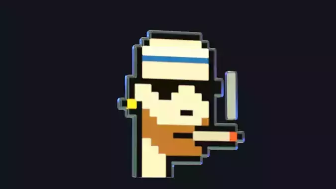 Cryptopunk Crypto Bitcoin Coin NFT 0377