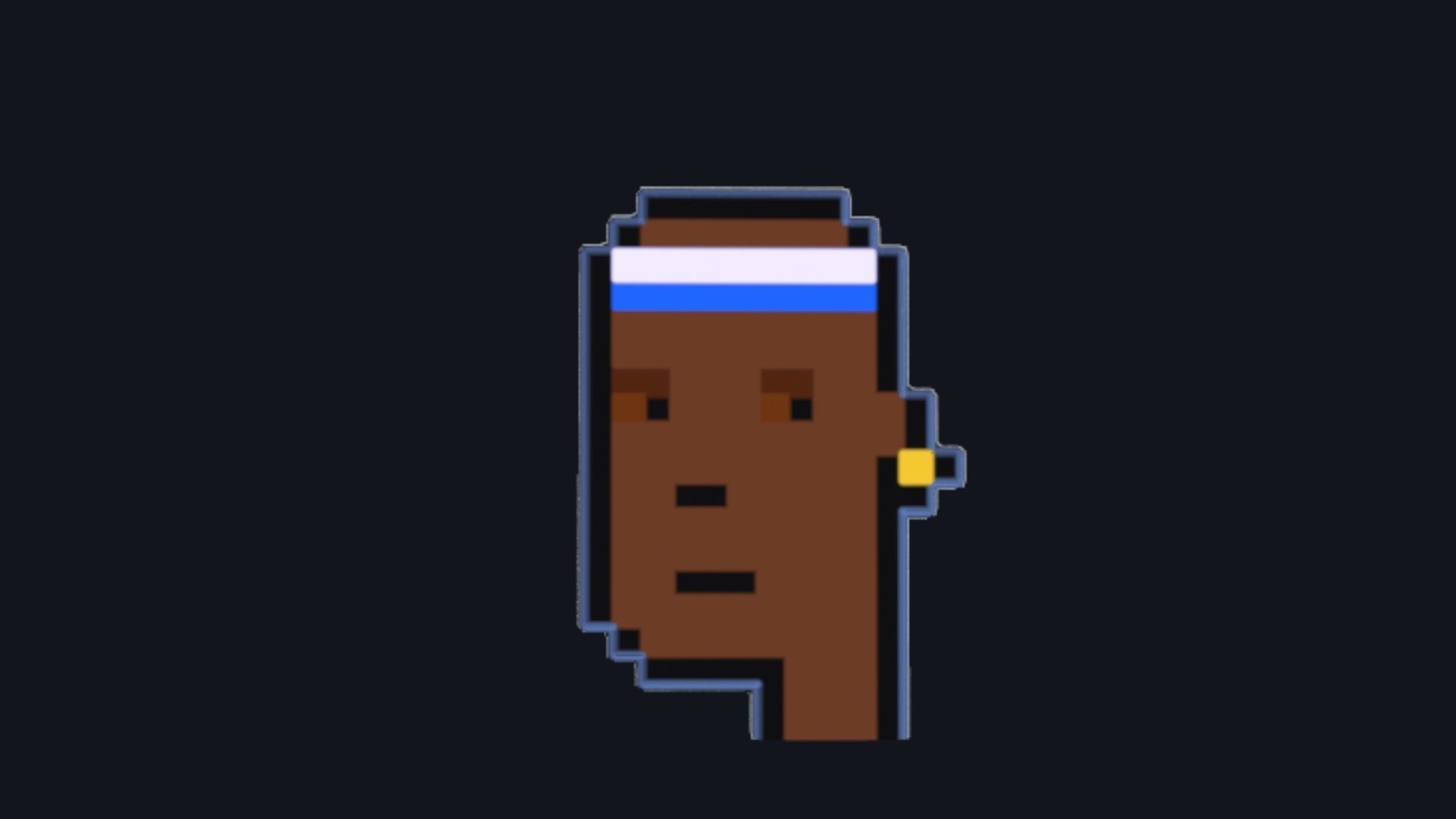 Cryptopunk Crypto Bitcoin Coin NFT 0373 3D model_7