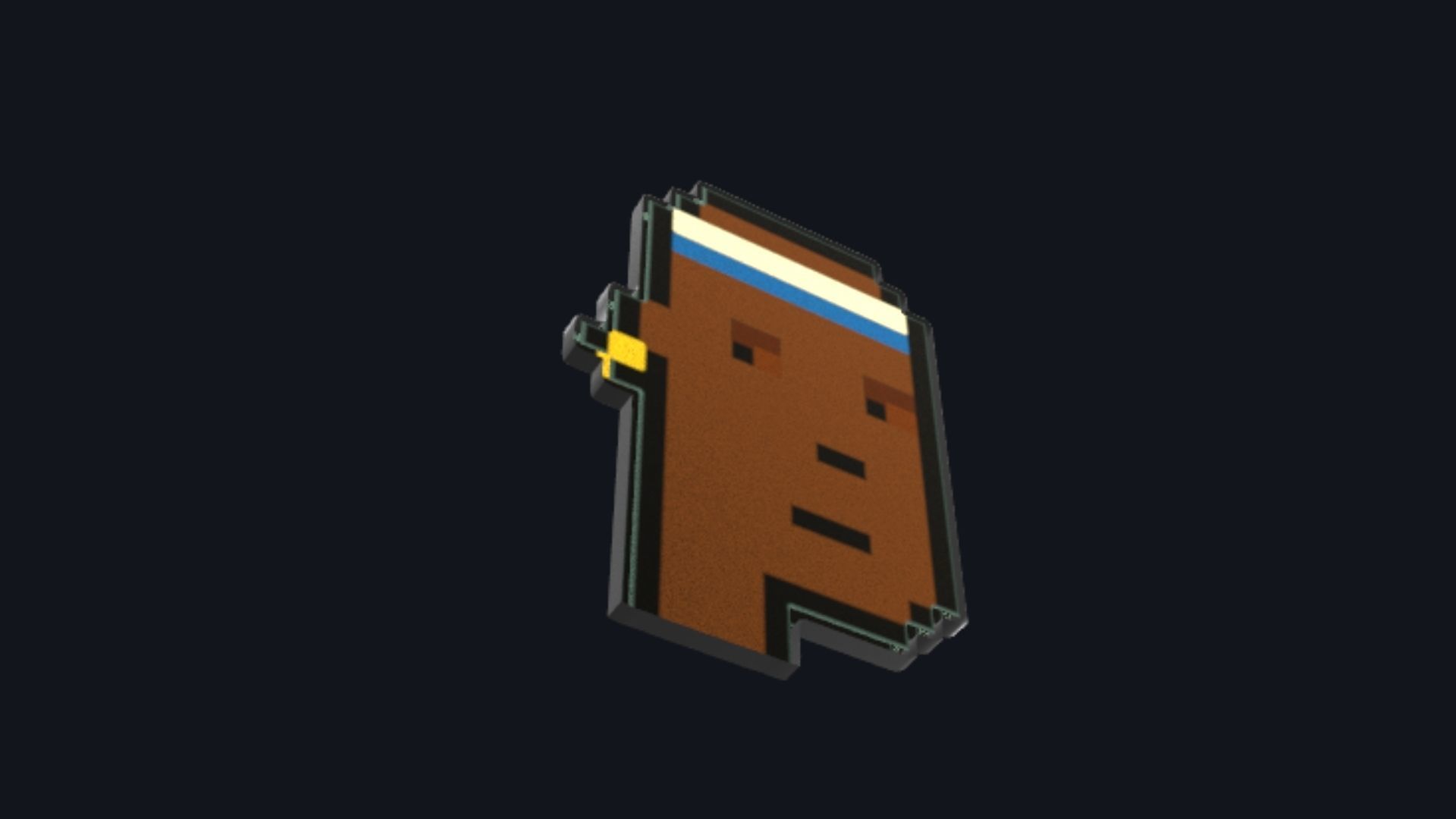 Cryptopunk Crypto Bitcoin Coin NFT 0373 3D model_2