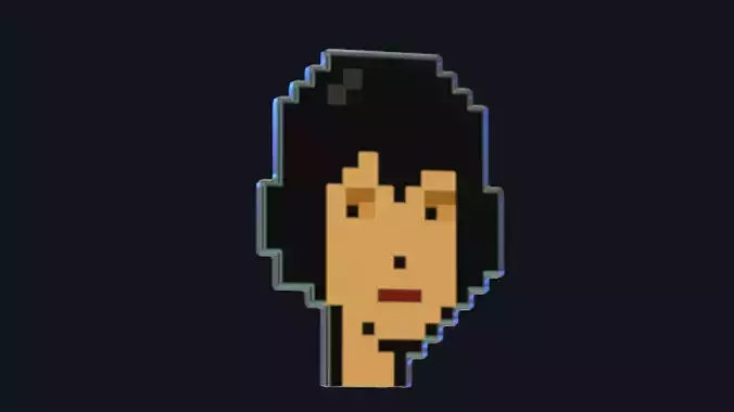 Cryptopunk Crypto Bitcoin Coin NFT 0371