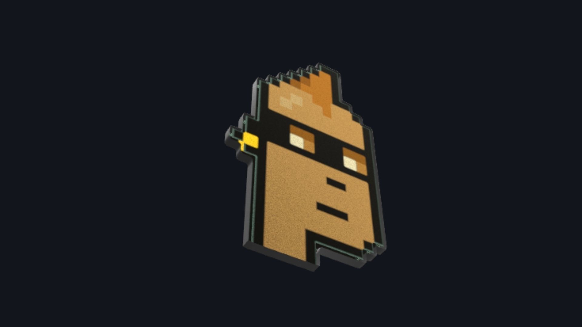 Cryptopunk Crypto Bitcoin Coin NFT 0366 3D model_2