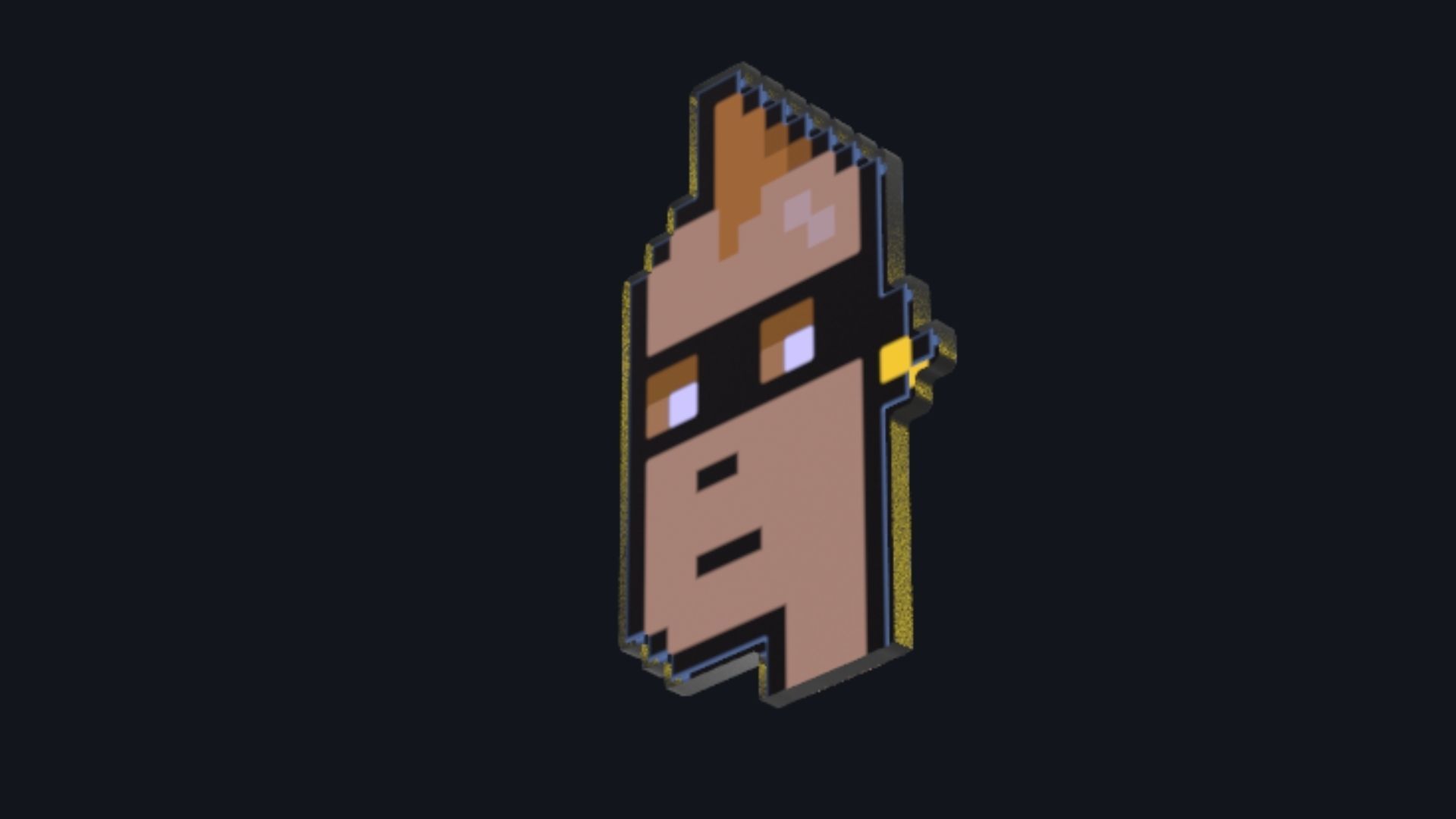 Cryptopunk Crypto Bitcoin Coin NFT 0366 3D model_5