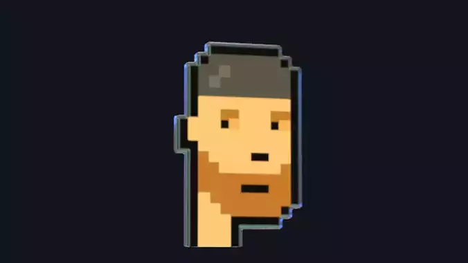 Cryptopunk Crypto Bitcoin Coin NFT 0365