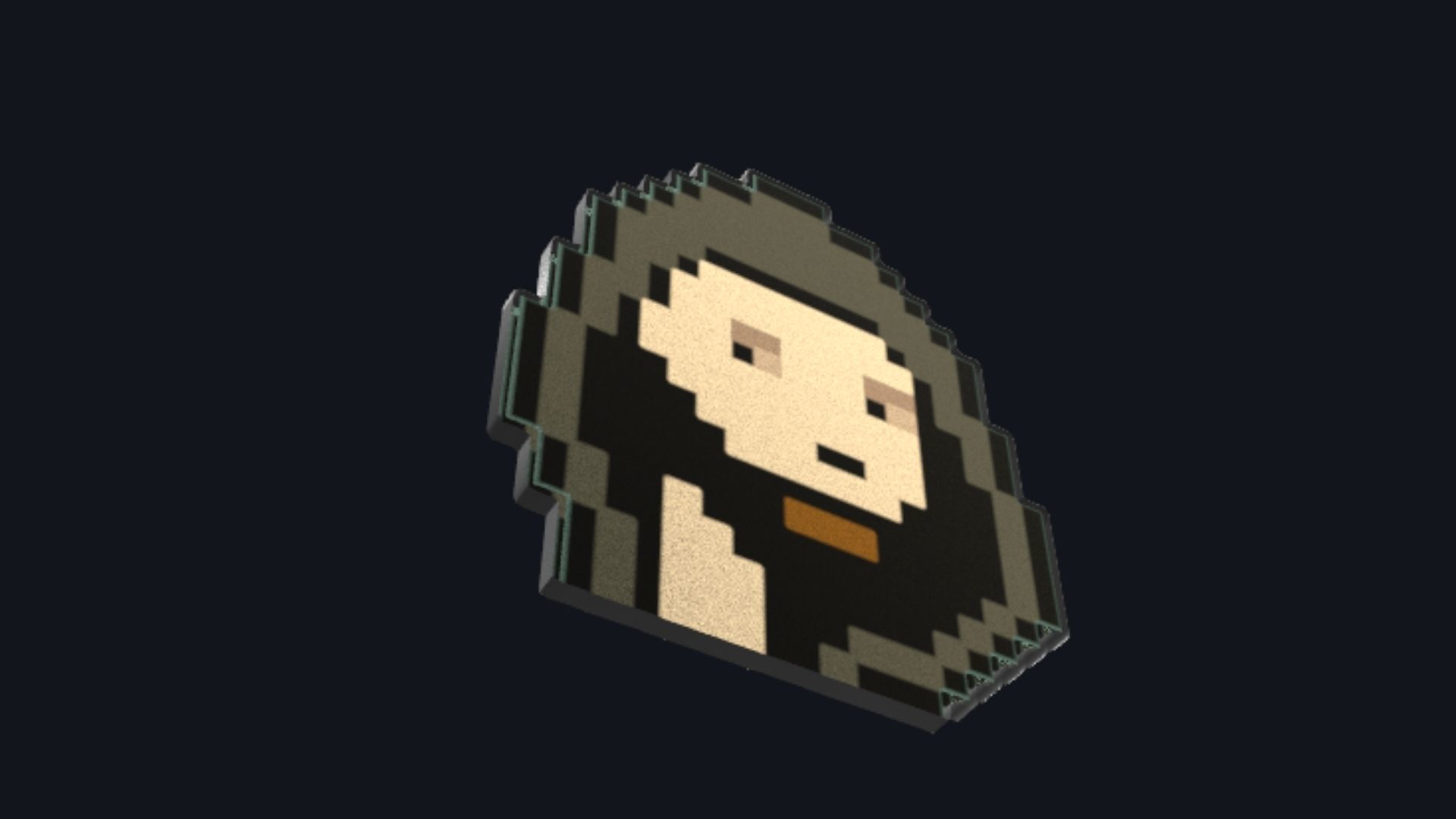 Cryptopunk Crypto Bitcoin Coin NFT 0364 3D model_2