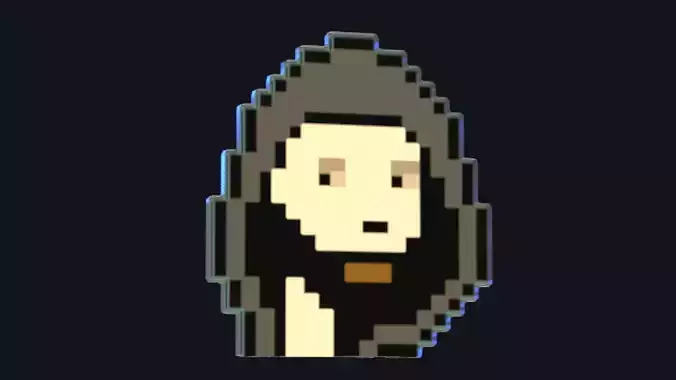 Cryptopunk Crypto Bitcoin Coin NFT 0364