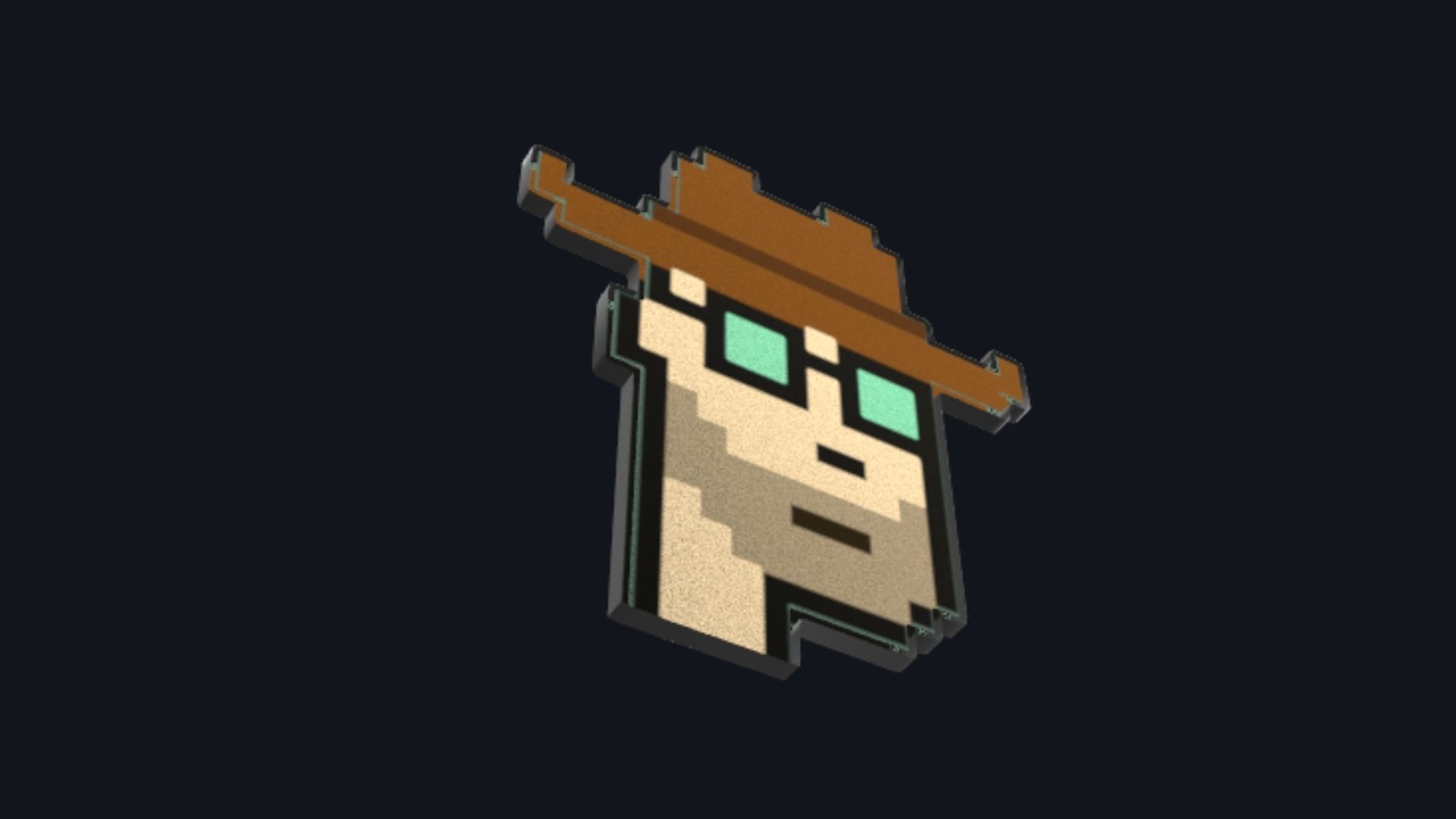 Cryptopunk Crypto Bitcoin Coin NFT 0363 3D model_2