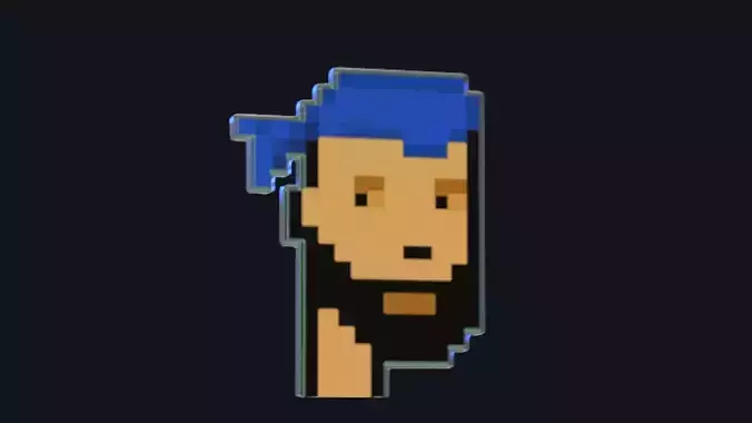 Cryptopunk Crypto Bitcoin Coin NFT 0360