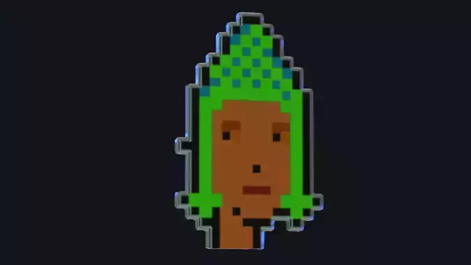 Cryptopunk Crypto Bitcoin Coin NFT 0357