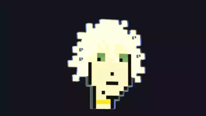 Cryptopunk Crypto Bitcoin Coin NFT 0355