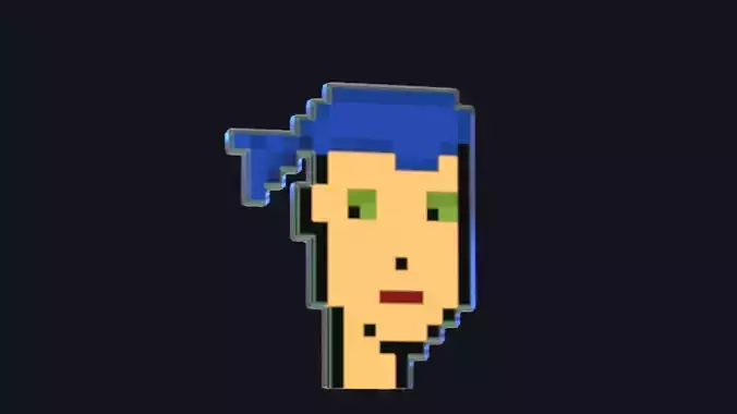 Cryptopunk Crypto Bitcoin Coin NFT 0353