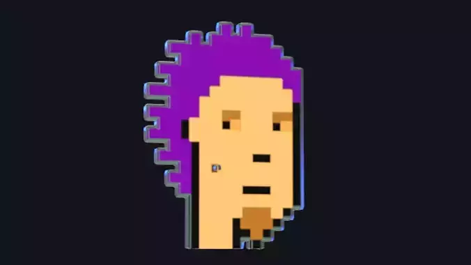 Cryptopunk Crypto Bitcoin Coin NFT 0351