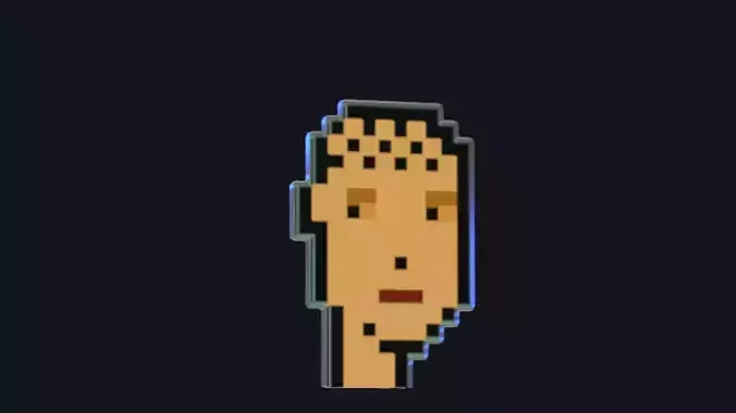 Cryptopunk Crypto Bitcoin Coin NFT 0350