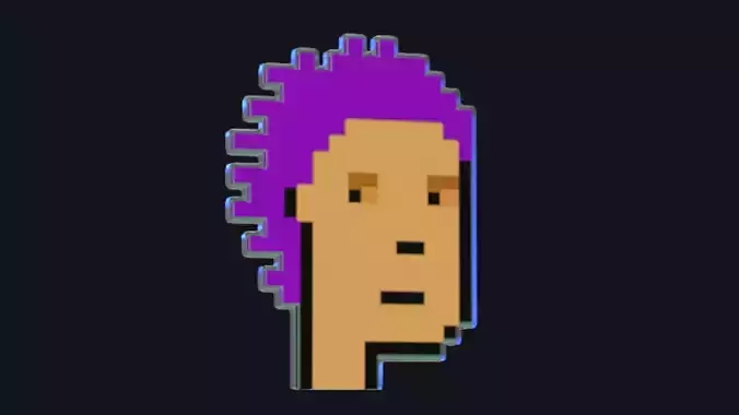 Cryptopunk Crypto Bitcoin Coin NFT 0346