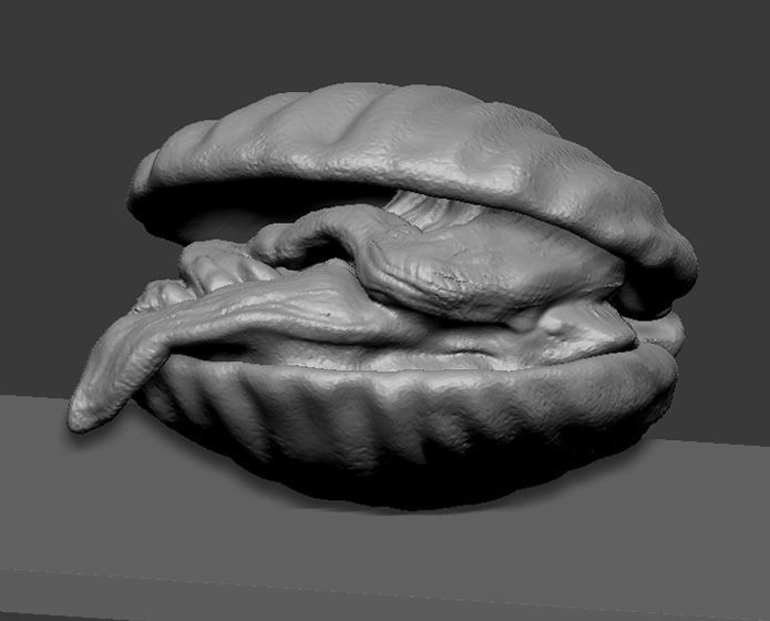 Clam Model shell 3D print model_1