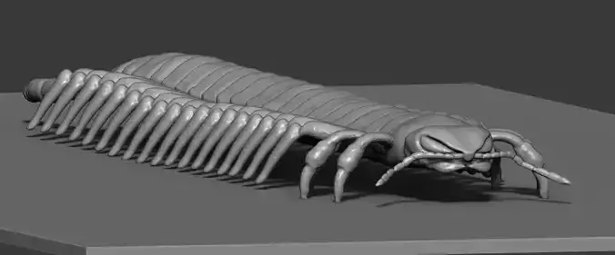 Centipede model