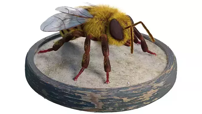 Bee - Blender