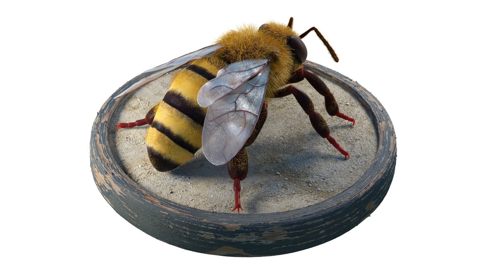 Bee - Blender Low-poly 3D model_2