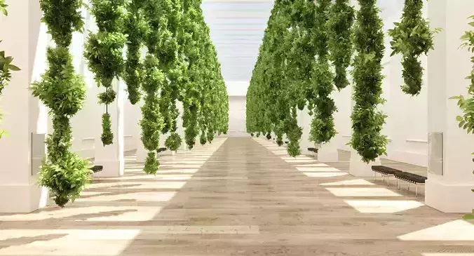 Garden Art Gallery 5